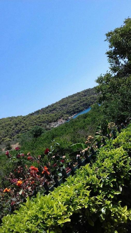 Hotel Marialena Epidaurus Екстериор снимка
